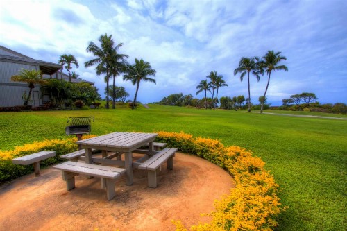 Wailea Ekolu 1706 - image 3