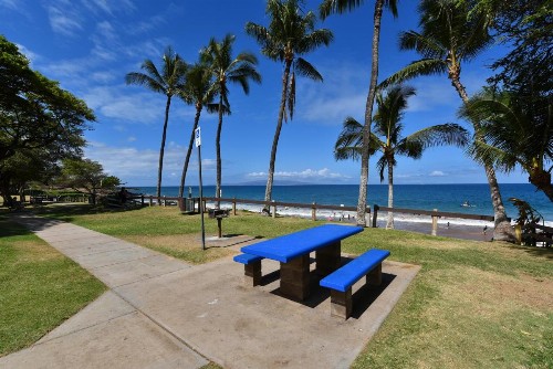 Maui Banyan Q204 Condo - image 1