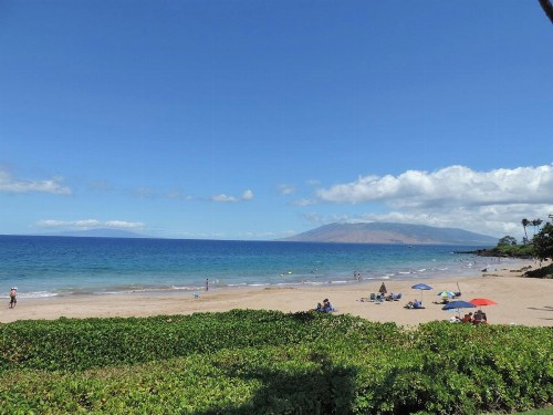 Polo Beach Club - image 2