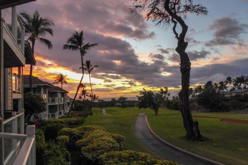 Wailea Grand Champions - image 9