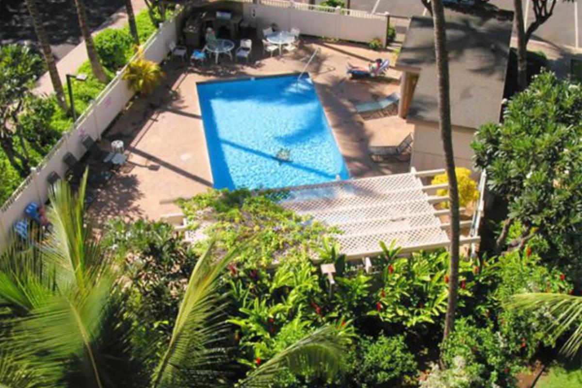 Kihei Akahi - image 3