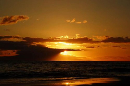 Kihei Akahi - image 7
