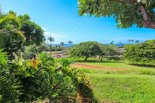 WAILEA EKOLU #203 - image 15