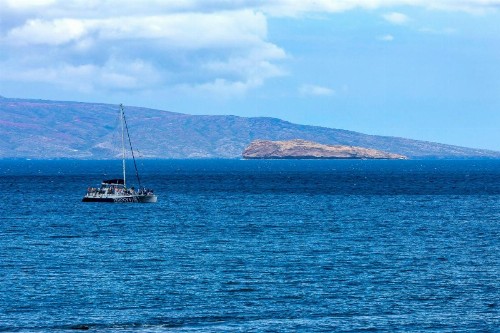 Makena Surf by Coldwell Banker Island Vacations - image 11