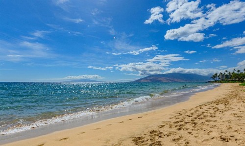 Castle Maui Banyan - image 36