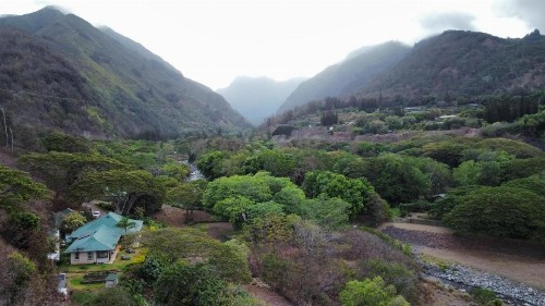 Iao Valley Inn - image 4
