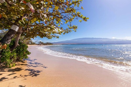 Makani A Kai Resort B-1 - image 12