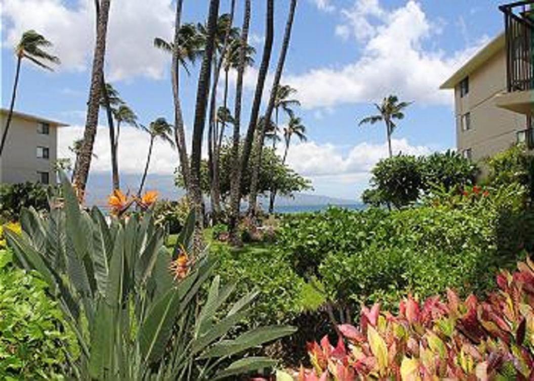 Kanai A Nalu Resort 108 - main image