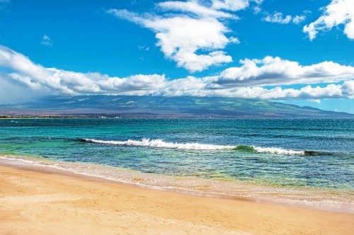 Hono Kai Resort B16 - image 10