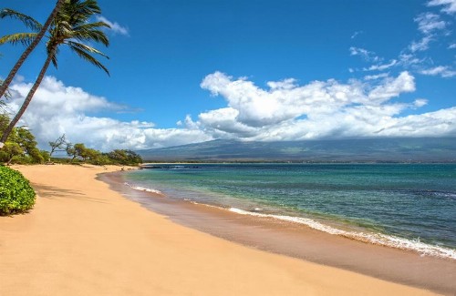 Hono Kai Resort B16 - image 15