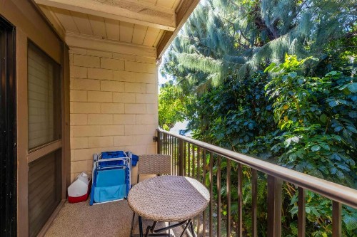 Hono Kai Resort B16 - image 8