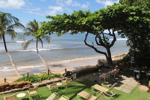 Hono Kai Resort A15 - image 11