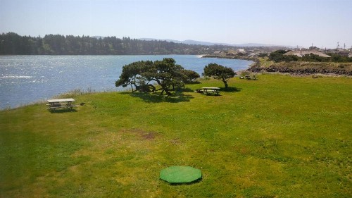 Alsi Resort - image 11