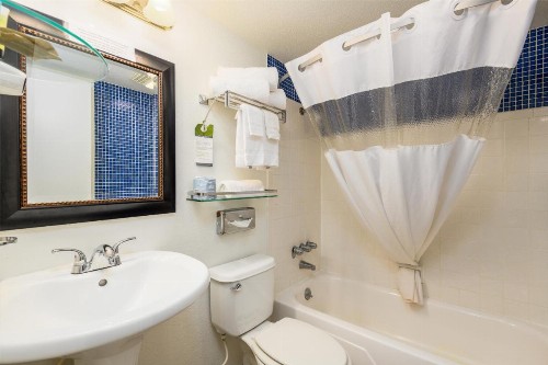 Alsi Resort - image 18