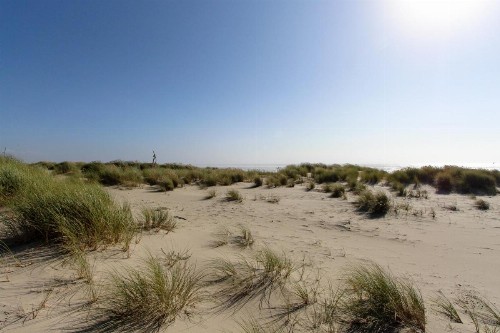 Beachside Bliss - image 9