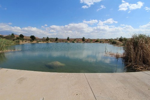 Canyon Villas at Coral Ridge - image 12