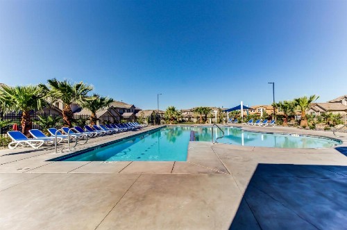 Zions Desert Star - image 10