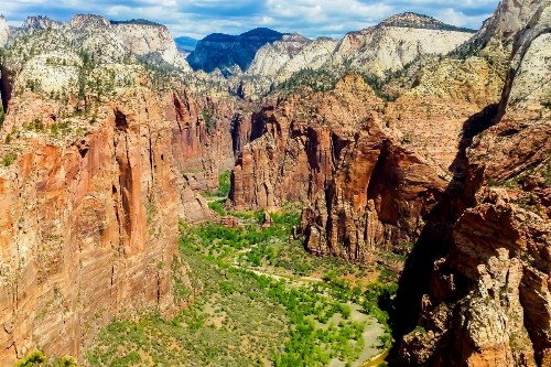 Zions Desert Star - image 11