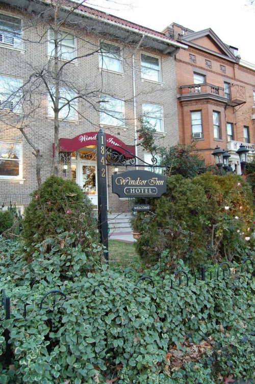 Windsor Inn - image 5