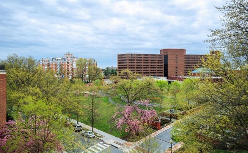 Washington Marriott Wardman Park