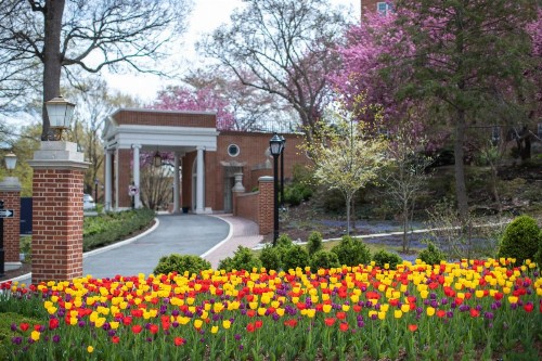 Washington Marriott Wardman Park - image 5