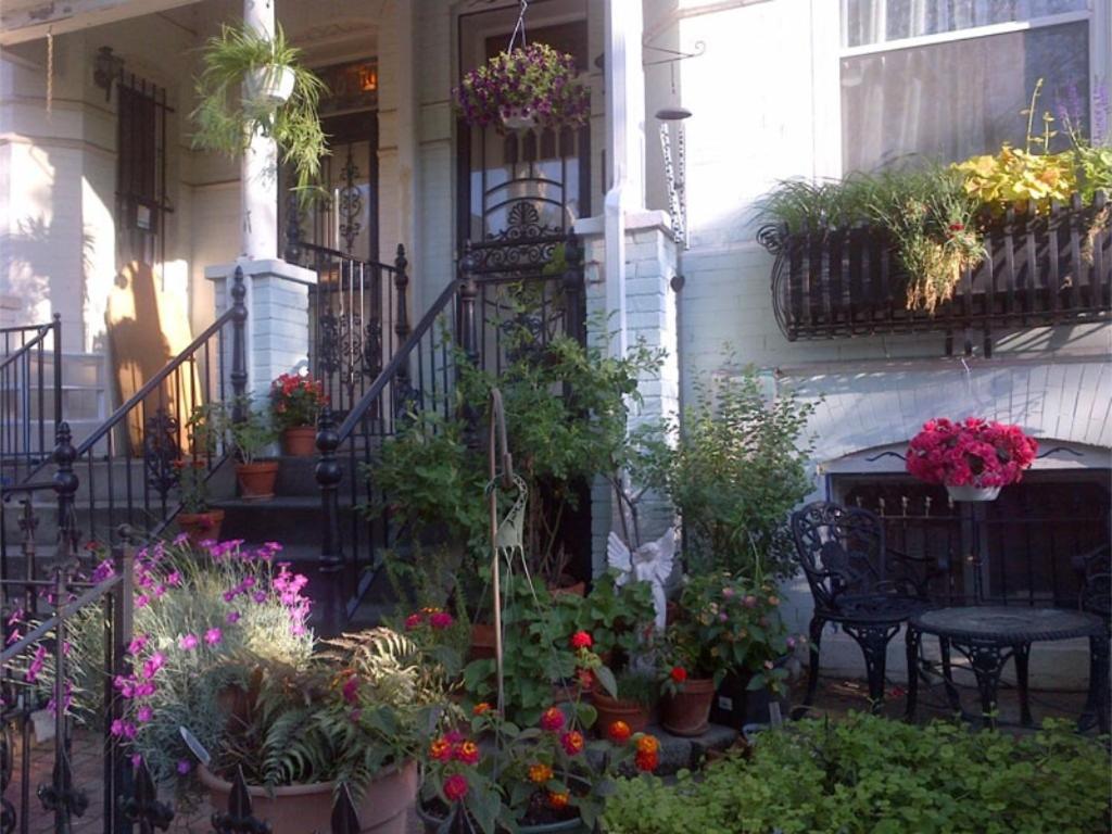 Ledroit Park Renaissance Bed and Breakfast - image 3