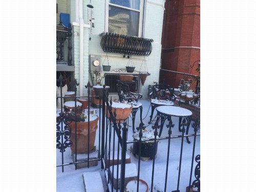 Ledroit Park Renaissance Bed and Breakfast - image 4