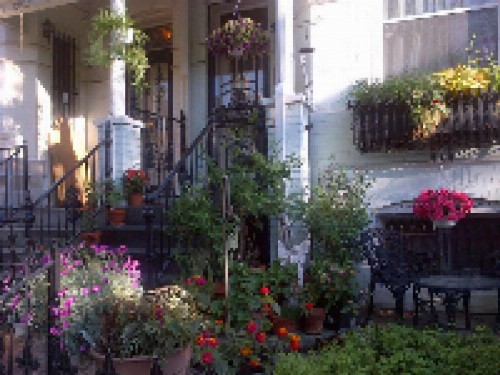 Ledroit Park Renaissance Bed and Breakfast - image 9