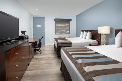 Ivy City Hotel - image 9