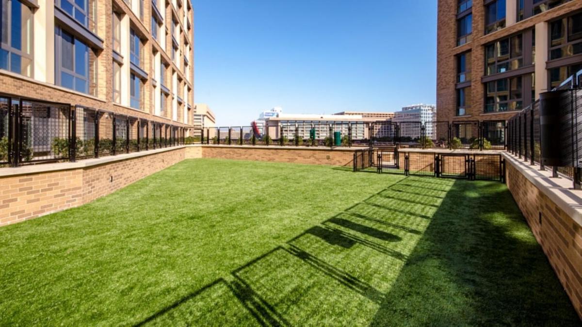 Global Luxury Suites at The Wharf - image 6