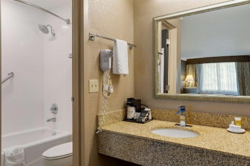 Best Western Smoky Mountain Inn - image 25