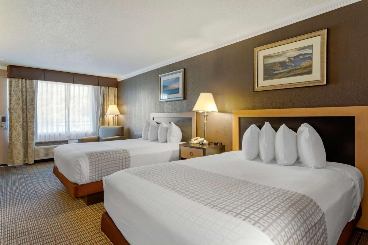 Best Western Smoky Mountain Inn - image 6