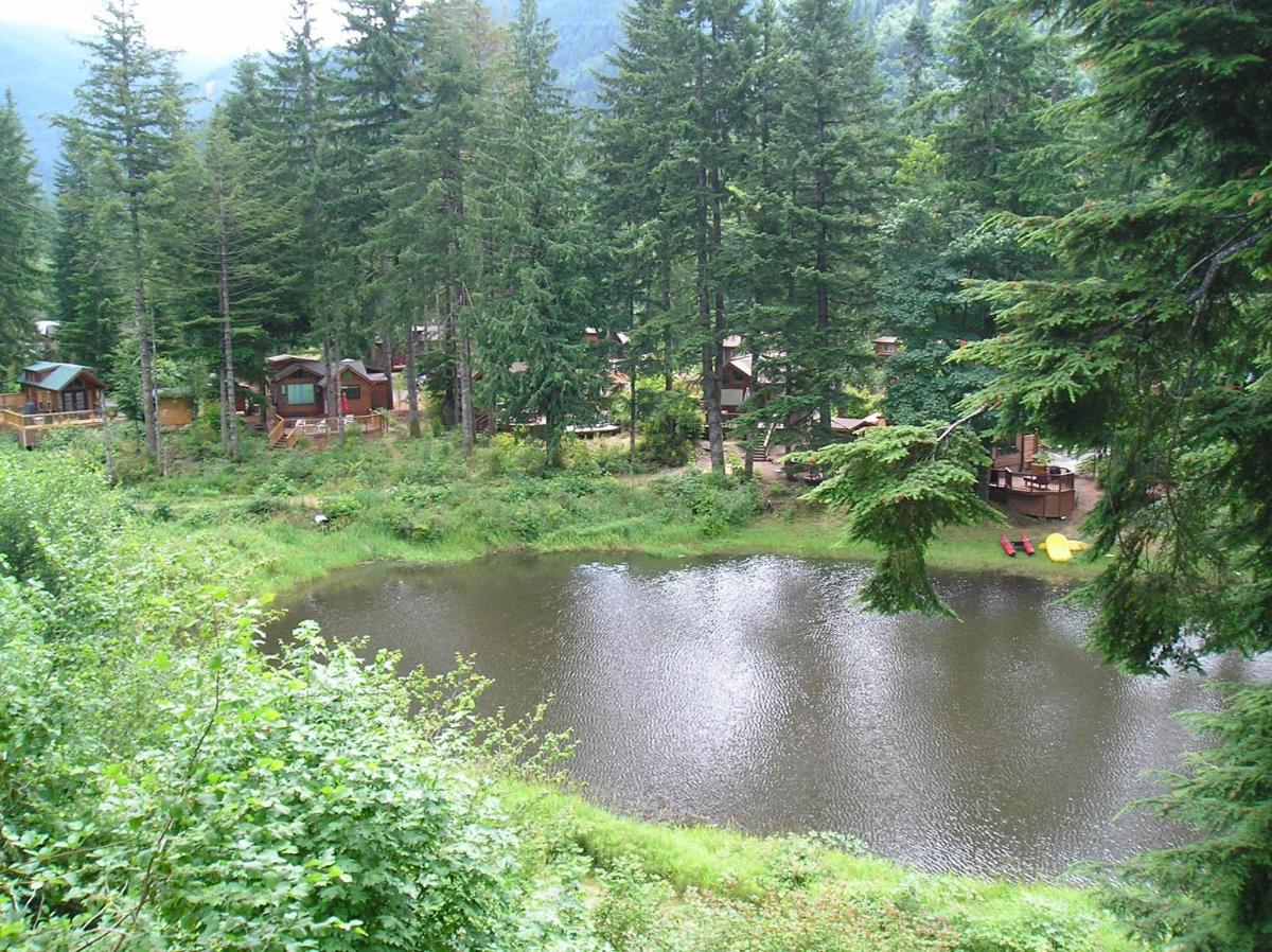 Mount Hood Village Deluxe Cabin 5 - image 6