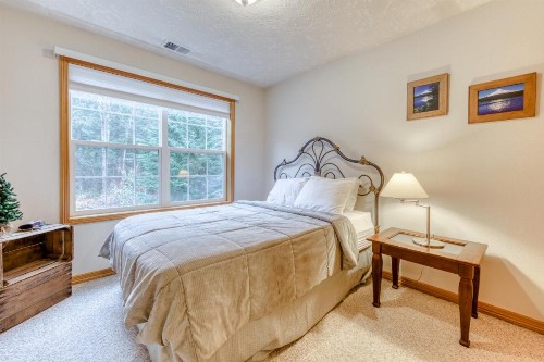 Clark's Mountain Condo - image 9