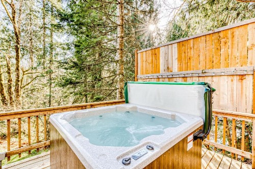 Cedar Grove Chalet - image 3