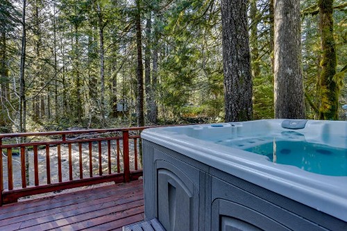 Papa Bear Cabin - image 10