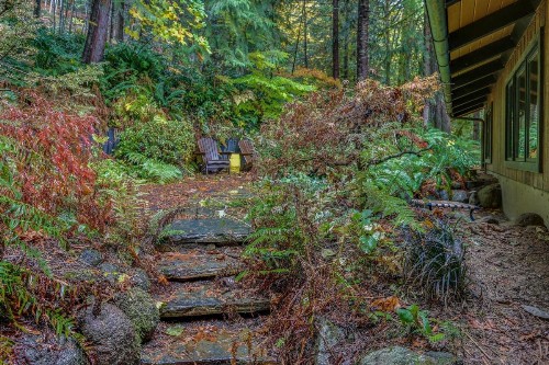 Foxglove Falls - image 2