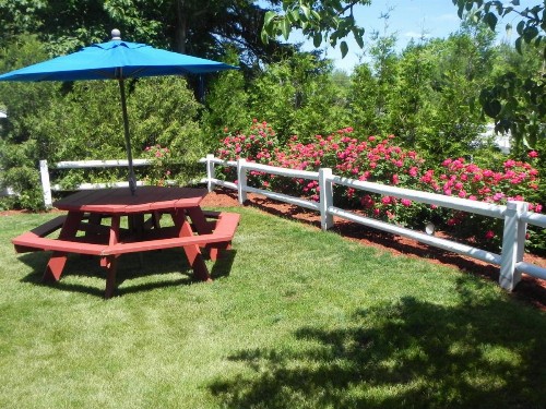 Elmwood Resort Hotel - image 29