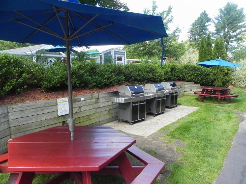 Elmwood Resort Hotel - image 50