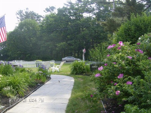 Holiday Guest House Bed & Breakfast - image 6
