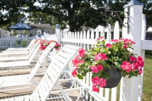 Seacoast Motel - image 16