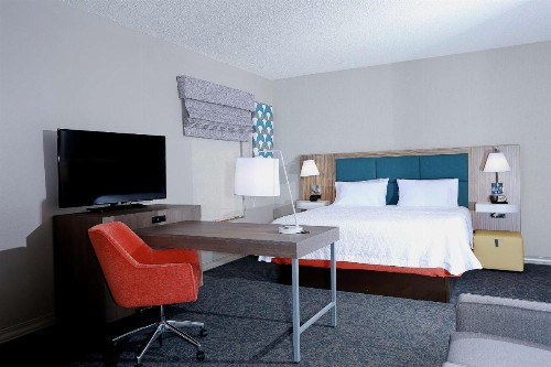 Hampton Inn & Suites Tampa-Wesley Chapel - image 19
