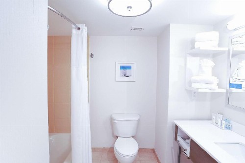 Hampton Inn & Suites Tampa-Wesley Chapel - image 28