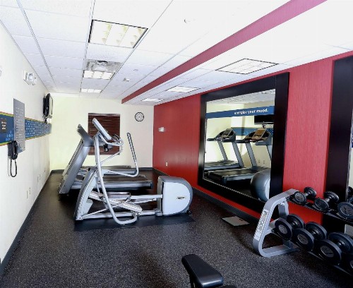 Hampton Inn & Suites Tampa-Wesley Chapel - image 5