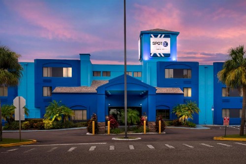 Sleep Inn Wesley Chapel - Tampa North - image 2