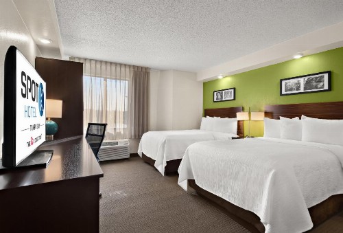 Sleep Inn Wesley Chapel - Tampa North - image 33