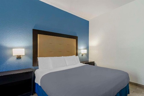 Rodeway Inn Wesley Chapel - image 11