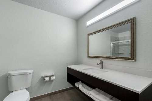 Rodeway Inn Wesley Chapel - image 17