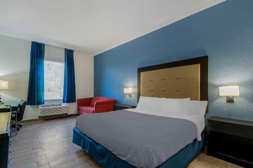 Rodeway Inn Wesley Chapel - image 9