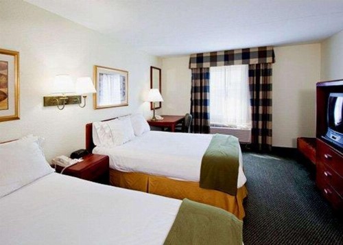 Econolodge Wesley Chapel - image 5